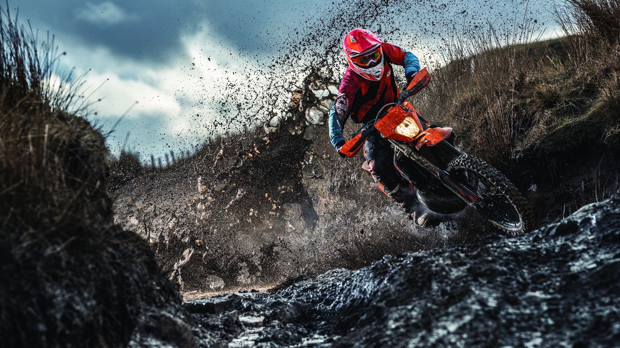 中国赛车手勇夺国际大奖赛冠军,创历史新高,中国国际赛车手排行榜